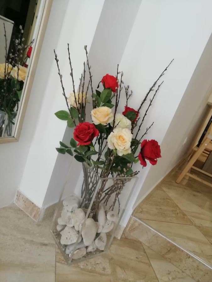 Rose Appartamento *