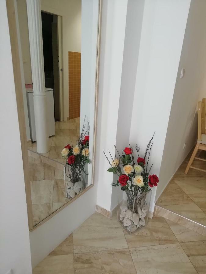 Rose Appartamento Pola