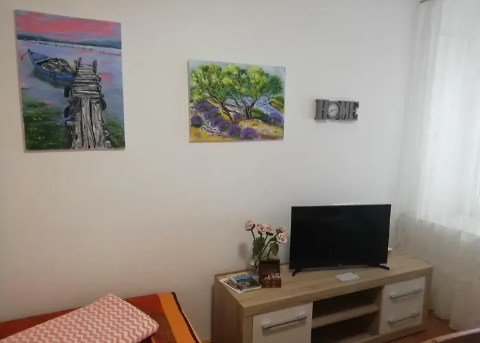 Studio Rose